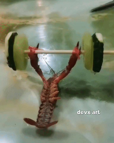 Fitness Working Out GIF by DevX Art