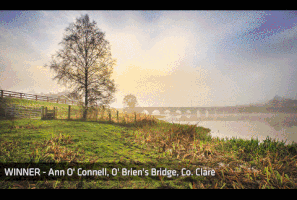 nl spring quarter 2017 GIF