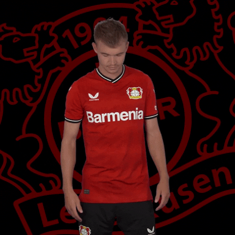 Question Wtf GIF by Bayer 04 Leverkusen