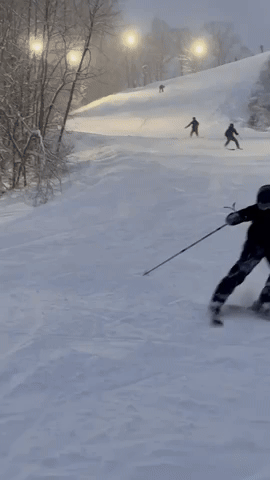 Ski GIF