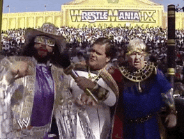 Randy Savage Wrestling GIF by WWE