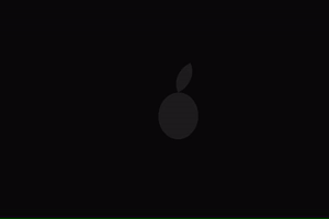 Olio Olioextravergine GIF by EVOO