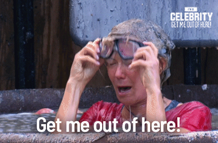 Im Celebrity Get Me Out Of Here Memes