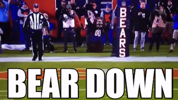 chicago bears nfl GIF