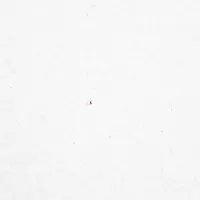 red white and blue wow GIF by Bomb Pop