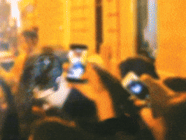 Francisco Lachowski Chico GIF