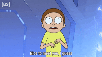 Nice To Meet You Rick And Morty GIF by Adult Swim