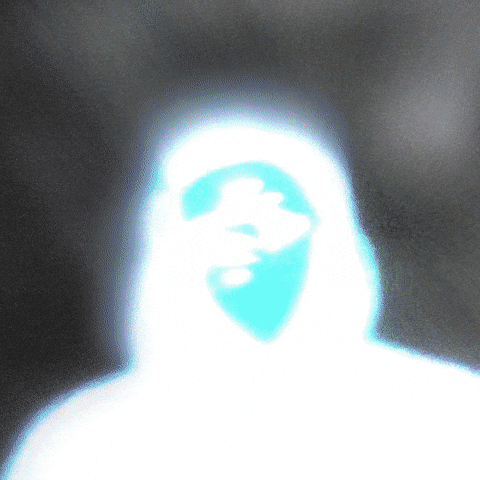 Montress GIF by WEOCCWORD