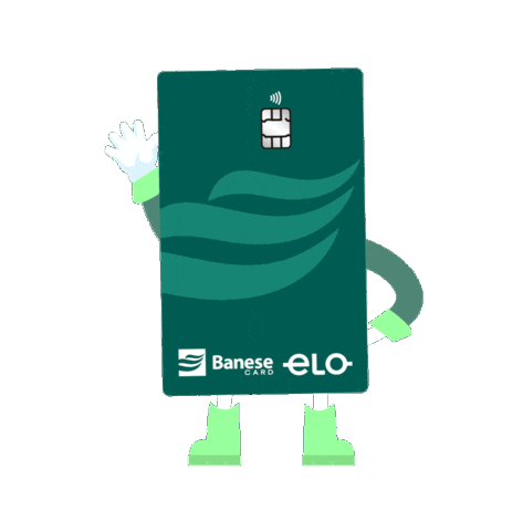 Aracaju Sergipe Sticker by BANESE CARD