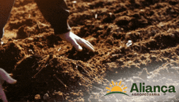 Agropecuária Aliança GIF