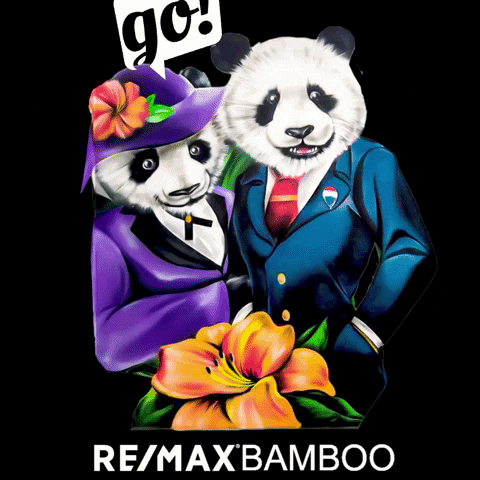 Remax Go GIF by remaxbamboo