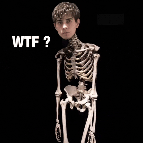 Wtf GIF