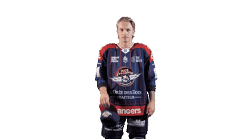 Ducs2026 Sticker by Les Ducs d'Angers