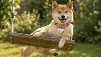 Good Morning Wave GIF by DogeGF