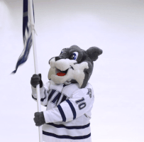 college sports wildcats GIF by University of New Hampshire