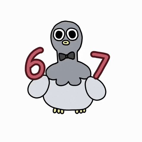 Bird Coco GIF