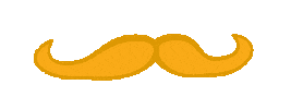 St Patricks Day Bounce Sticker by Shonduras