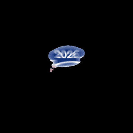 Sabancı GIF by Sabanci University