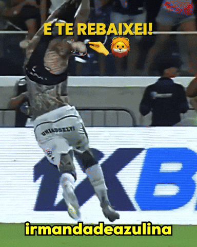 Futebol Diego GIF