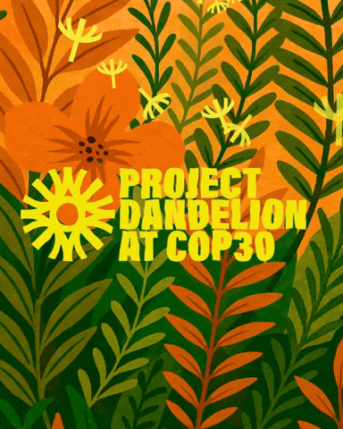 Cop30 GIF by Project Dandelion