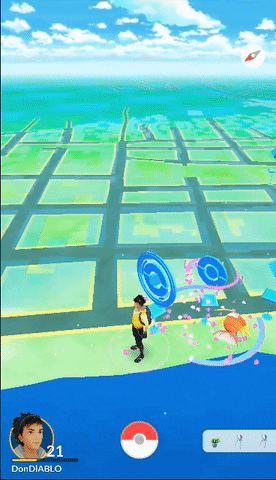 1306950 pokemon go GIF