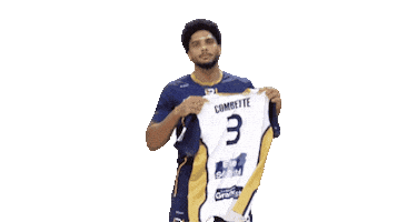 Volleyball Sticker by Reims Volley 51