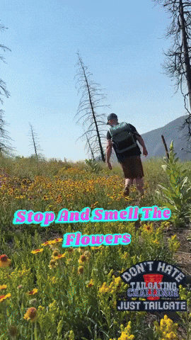 Tailgating Challenge GIFs on GIPHY - Be Animated
