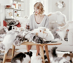 Taylor Swift Cat Gif Find Share On Giphy