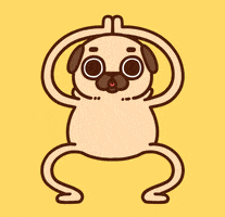 April Fools Applause GIF by Puglie Pug