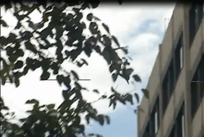 Charly GarcãÂ­A GIF