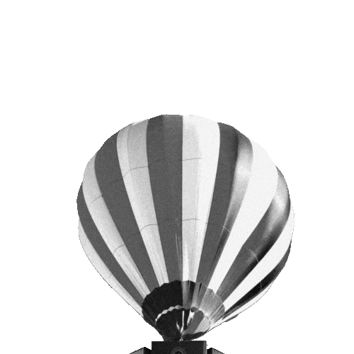 Open Air Party Sticker by woodlands collective