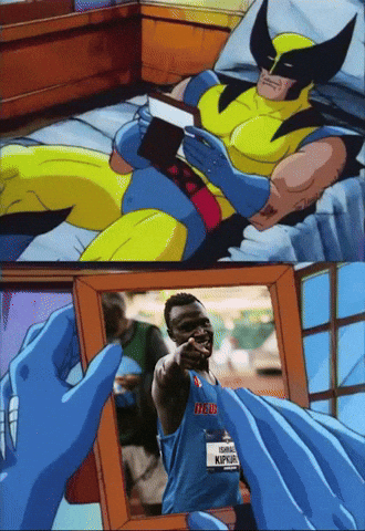 New Mexico Wolverine GIF by Boston College Women's Lacrosse