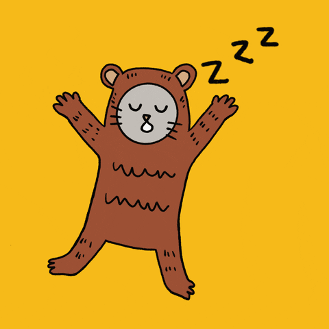 Sleeping Bear Sleep GIF by Thank You Coffee
