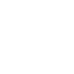 Intellighenzia project Sticker