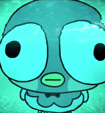 Coocoo GIF