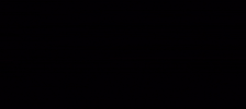 BBI Autosport GIF