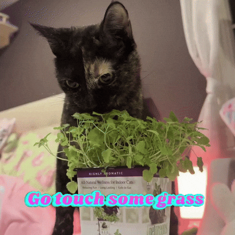 Silly Lilly GIF