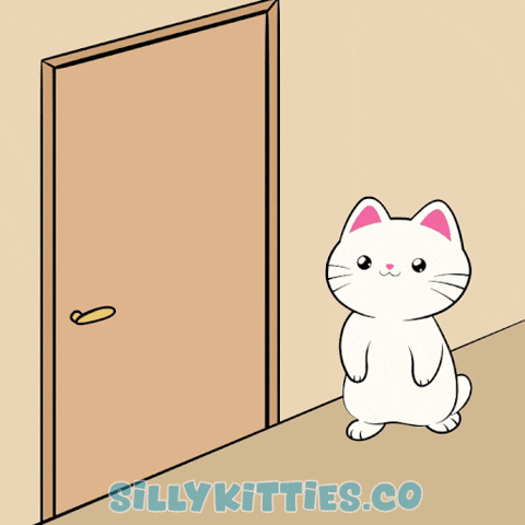 Angry Let Me In GIF by Silly Kitties