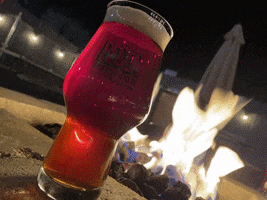 Fire Beer GIF by Recon Brewing