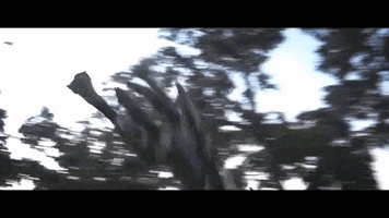 kind  GIF