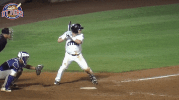 Baseball Swinging GIF by Evansville Otters