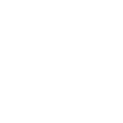 BAAI Breda Sticker
