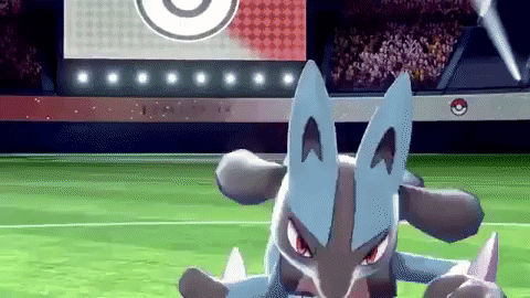 Pokemon Fight Gifs Get The Best Gif On Giphy