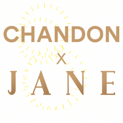 The Jane Club GIF