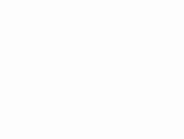 INEDIB GIF