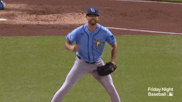 Celebrate Tampa Bay Rays GIF by MLB