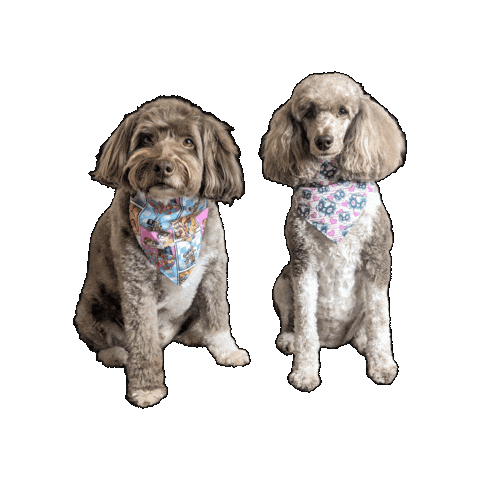 Bandana Dog Sticker by Geekster Pets