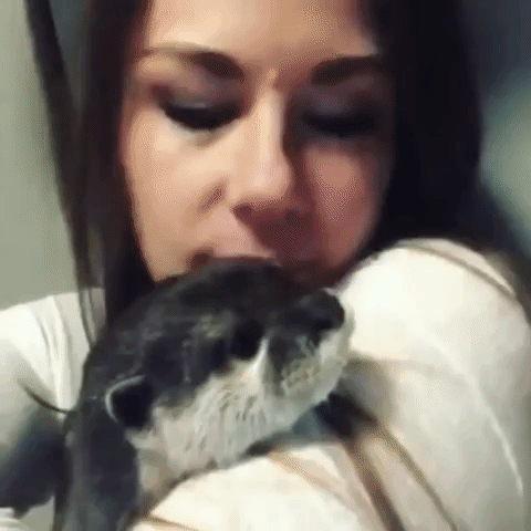 Video gif. A girl kisses her cute pet otter over and over again until it grabs her mouth and puts both paws into her mouth. When it pulls its paws out, she begins kissing it again.