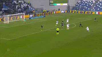 ilicic GIF by nss sports