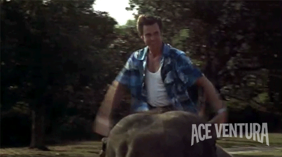 Jim Carrey Ride GIF